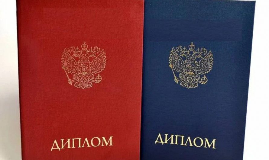 Купить диплом программиста в Новошахтинске